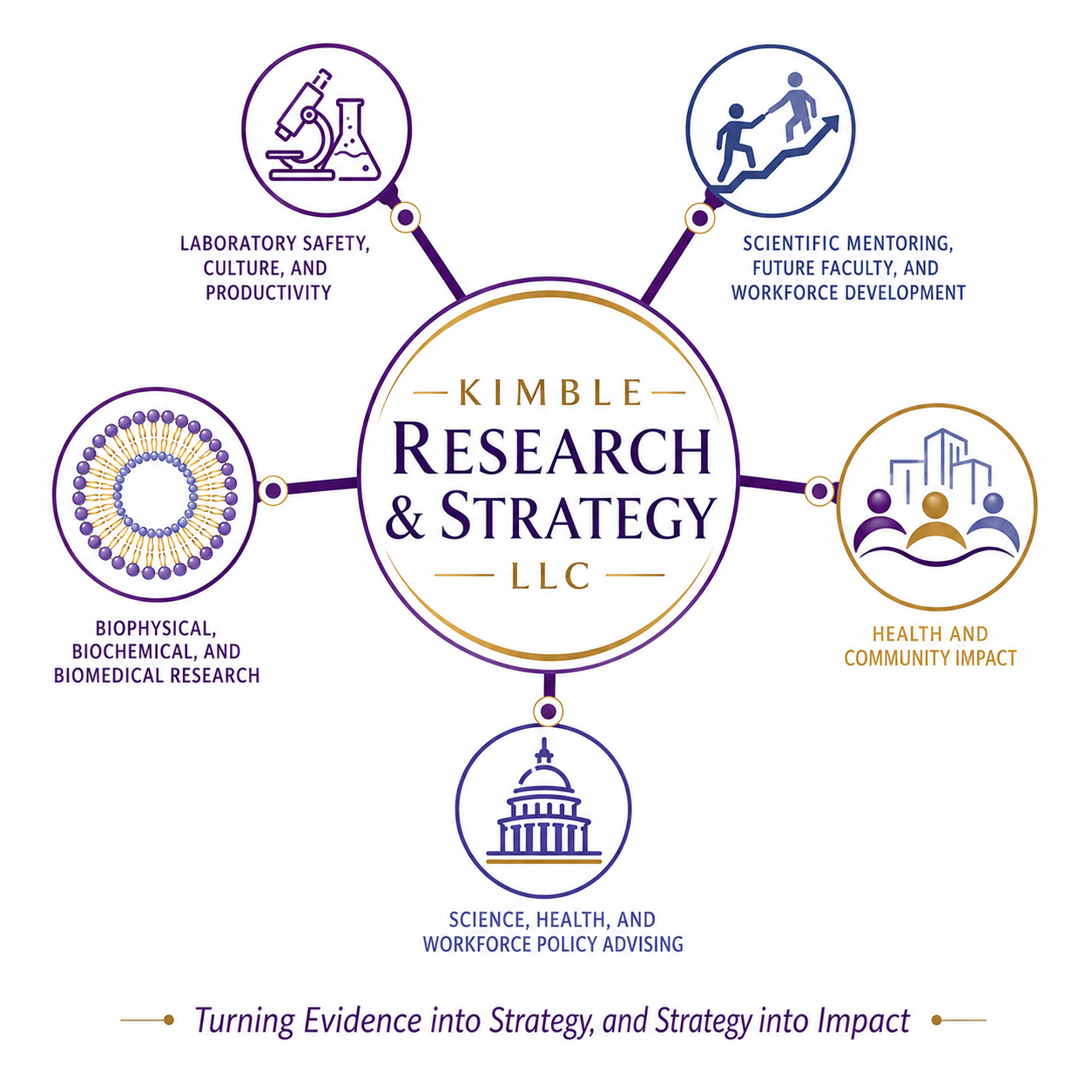 Kimble Research and Strategy — integrated areas of practice diagram
