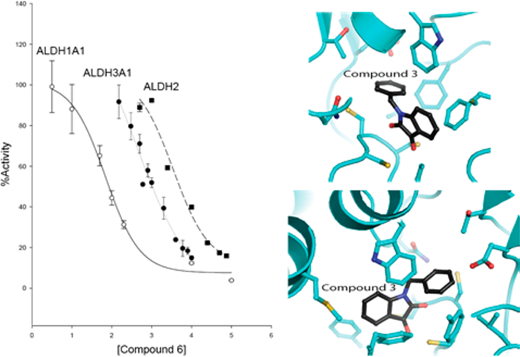 ALDH enzyme inhibition dose-response curves for ALDH1A1, ALDH3A1, and ALDH2 with Compound 6, alongside molecular docking visualization of Compound 3 in the active site